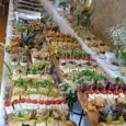 Weihnachtsfingerfood bei Lehmüse - Catering Weihnachten Lehmüse
